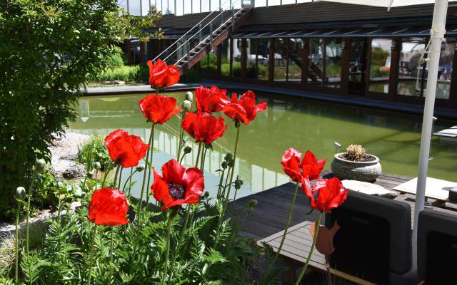 Wellnessgarten mit Schwimmteich