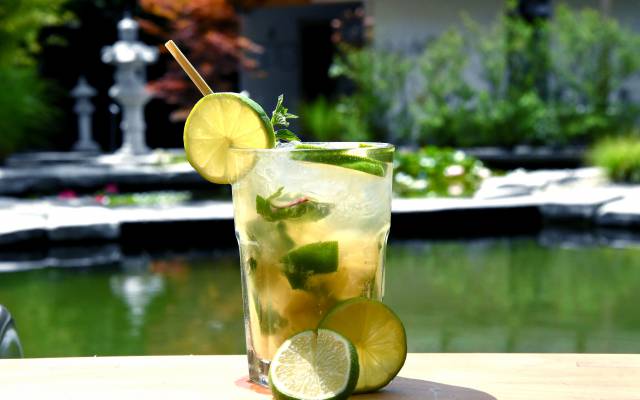 Caipirinha Hotel Wellnessgarten Teich